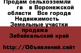 Продам сельхозземли ( 6 000 га ) в Воронежской области - Все города Недвижимость » Земельные участки продажа   . Забайкальский край